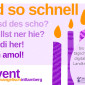 ned so schnell Adventskalender